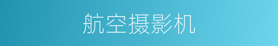 航空摄影机的同义词