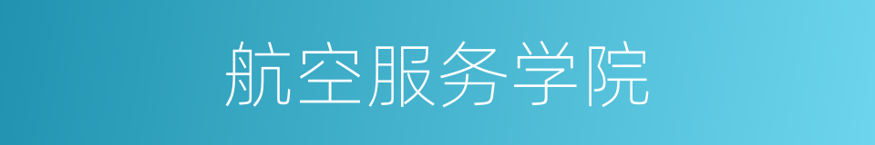 航空服务学院的同义词