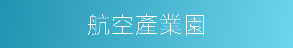 航空產業園的同義詞