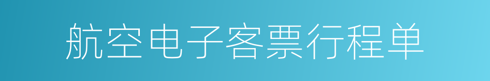 航空电子客票行程单的同义词