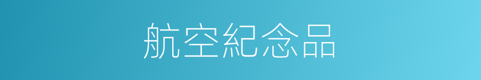 航空紀念品的同義詞