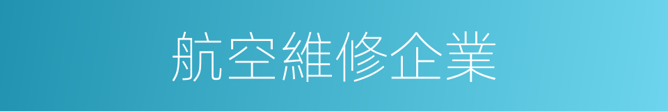 航空維修企業的同義詞