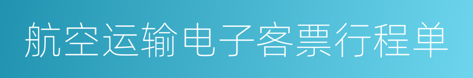 航空运输电子客票行程单的同义词