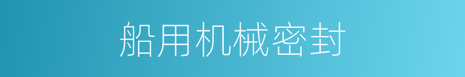 船用机械密封的同义词