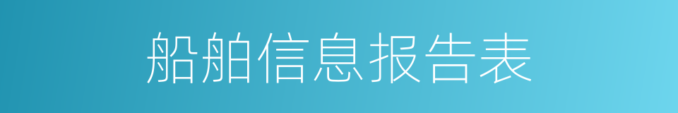 船舶信息报告表的同义词