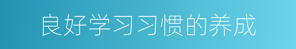 良好学习习惯的养成的同义词