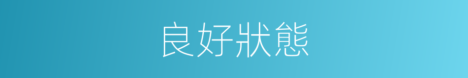 良好狀態的同義詞