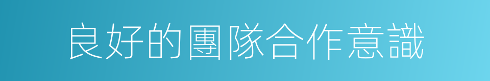 良好的團隊合作意識的同義詞