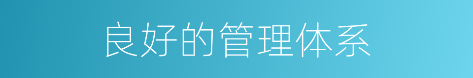 良好的管理体系的同义词