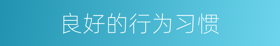 良好的行为习惯的同义词