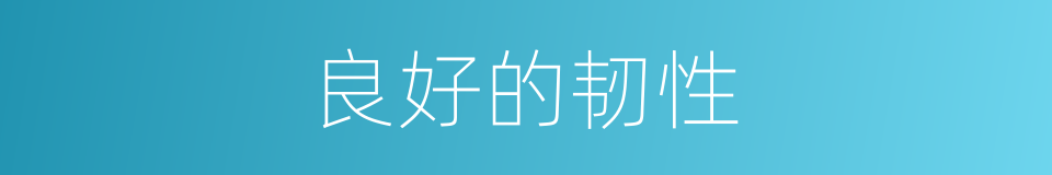 良好的韧性的同义词