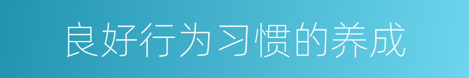 良好行为习惯的养成的同义词