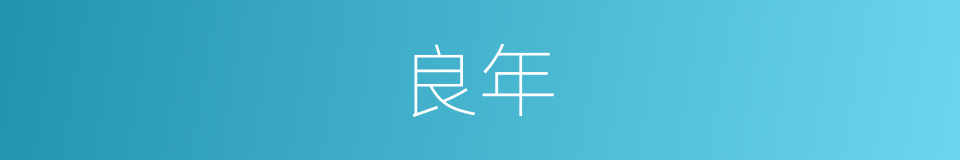 良年的同义词