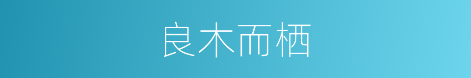 良木而栖的同义词