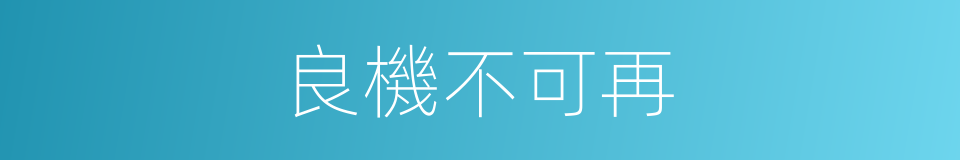 良機不可再的同義詞