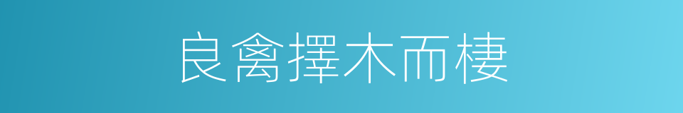 良禽擇木而棲的意思