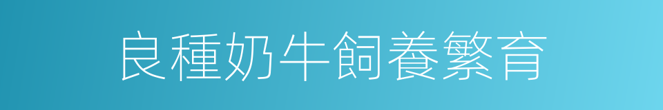 良種奶牛飼養繁育的同義詞