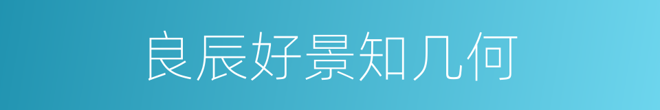良辰好景知几何的同义词