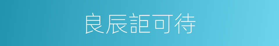 良辰詎可待的同義詞