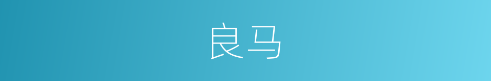 良马的同义词