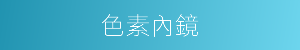 色素內鏡的同義詞