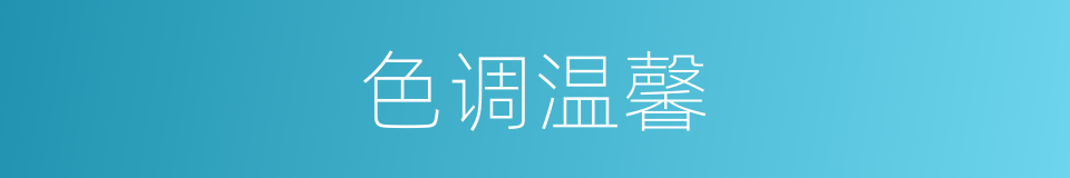 色调温馨的同义词