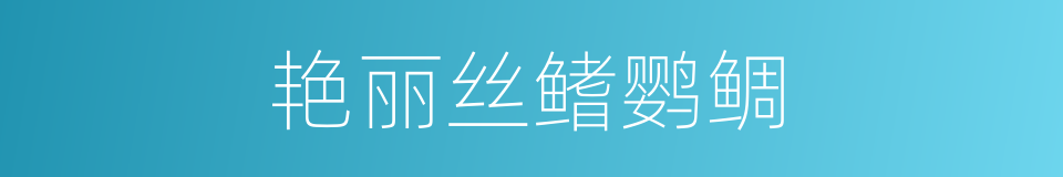 艳丽丝鳍鹦鲷的同义词