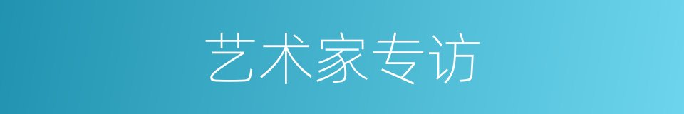 艺术家专访的同义词