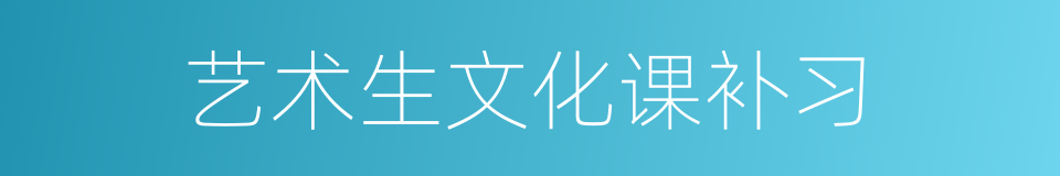 艺术生文化课补习的同义词