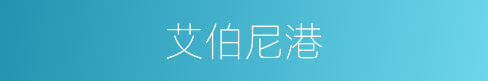 艾伯尼港的同义词
