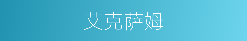 艾克萨姆的同义词