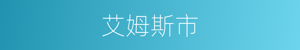 艾姆斯市的同义词