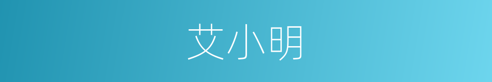 艾小明的同义词