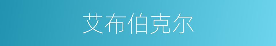 艾布伯克尔的同义词