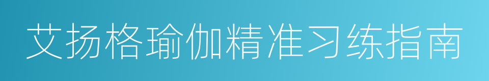 艾扬格瑜伽精准习练指南的同义词