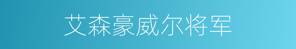 艾森豪威尔将军的同义词