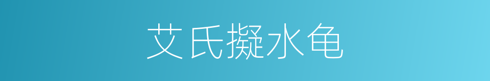 艾氏擬水龟的同義詞
