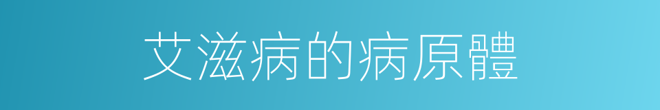 艾滋病的病原體的同義詞