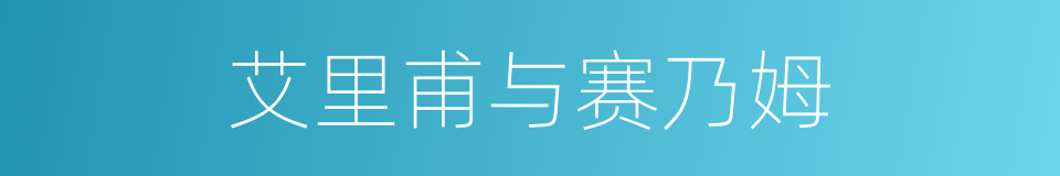艾里甫与赛乃姆的同义词