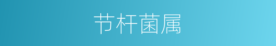 节杆菌属的同义词