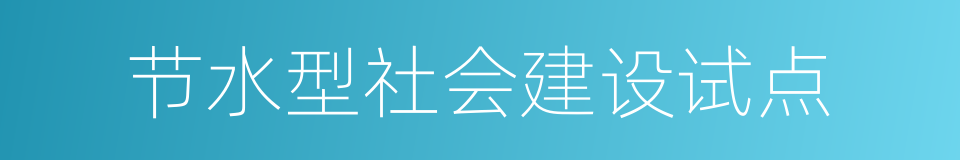 节水型社会建设试点的同义词