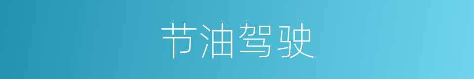 节油驾驶的同义词