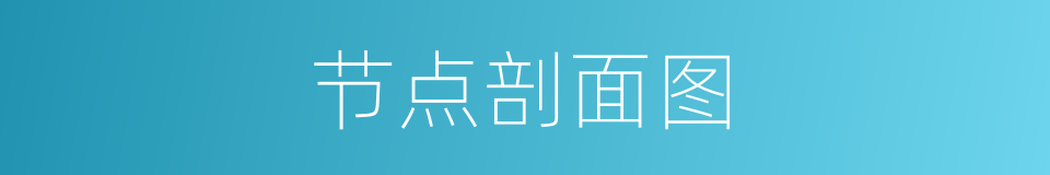 节点剖面图的同义词