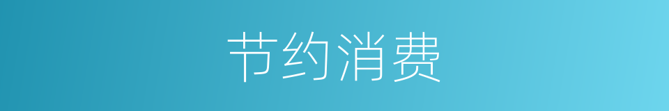 节约消费的同义词