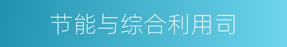 节能与综合利用司的同义词