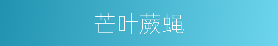 芒叶蕨蝇的同义词