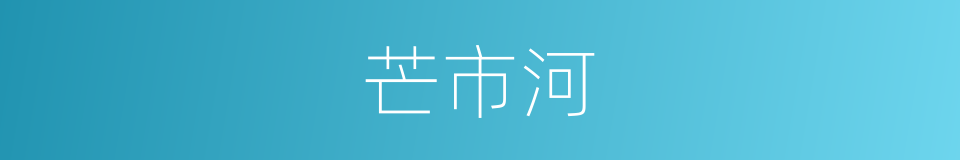 芒市河的同义词