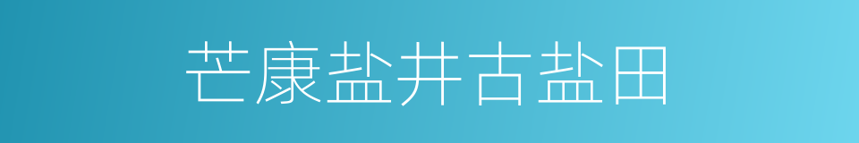 芒康盐井古盐田的同义词