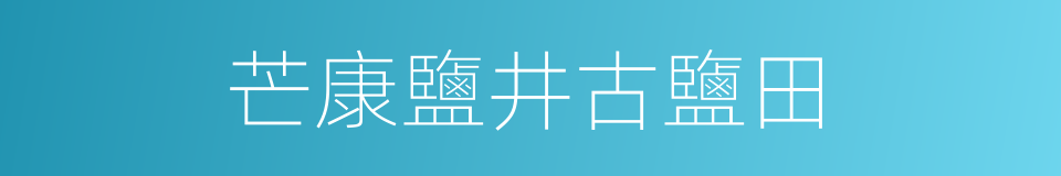 芒康鹽井古鹽田的同義詞