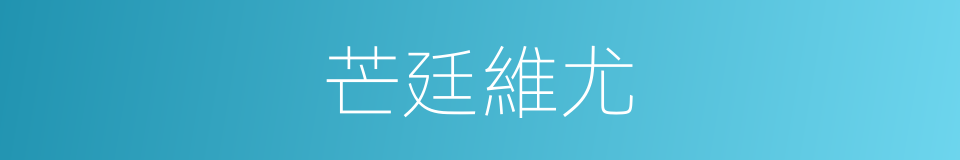 芒廷維尤的同義詞
